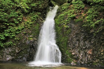 Fototapeta na wymiar 栃木県塩原渓谷の風挙の滝
