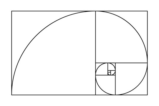 Golden ratio spiral. Geometric ideal proportion, divine sections template on white background. Mathematics symmetry shapes, geometry grid, vector illustration