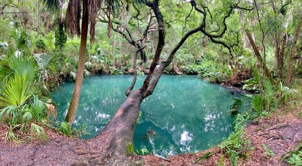 Natural freshwater spring pond at Green springs in Deltona north of Orlando in central Florida