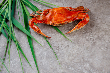 Steamed crab with green grass on a grey surface.