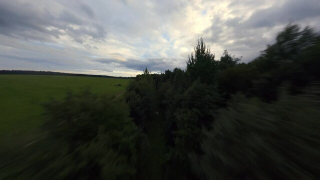 Low flying between rows of trees and exit to the green field