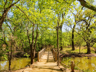 Nature landscape of Martin Park Nature Center