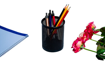 Pen and pencil in pen holder with ped and flower 