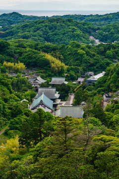 建長寺と鎌倉の新緑