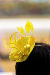 An attendee at a horse race, wearing a fancy hat.