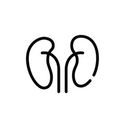 Human kidneys. Internal organ anatomy icon. Pixel perfect, editable stroke line 