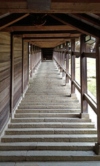 Stone stairs in a shrine , Japan
