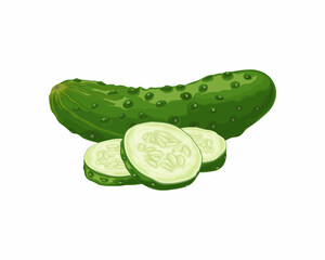 Green cucumber. Image of a ripe sliced green cucumber. Green vegetarian product. Vector illustration isolated on a white background