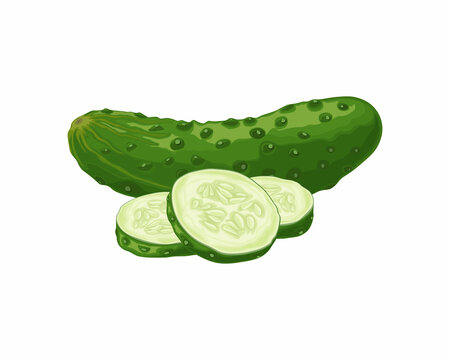 green cucumber with sliced pieces on white clip art preview