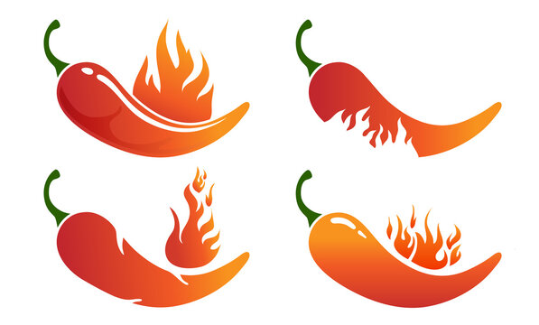 Chili With Fire Logo Design Vector.
Hot burning fire flame and red chili pepper isolated on white background. Vector illustration for restaurant design or spicy food menu.