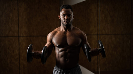 Naklejka na ściany i meble Muscular dark-skinned man doing an exercise with dumbbells. 