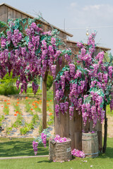 Purple wisteria flowers hanging at the wooden house in the garden. A Woman standing holding a summer hat