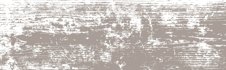Grunge texture of an old wooden board