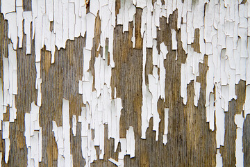 White peeling paint on a wooden surface.