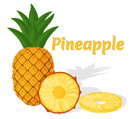 Pineapple.A whole pineapple and a slice isolated on a white background.Vector illustration isolated on a white background.