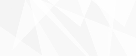 Abstract white and grey  polygonal corporate background on light silver background modern design, space design concept. decorative web layout or poster, banner. vector illustration , 
