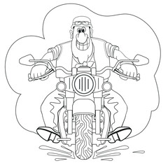 funny fat biker with teeth grin rushes on a motorcycle, cartoon, outline, on a white background