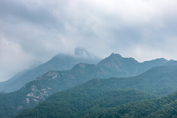 Fototapeta na wymiar Foggy day, Mountain landscape in Lantau Island, Hong Kong