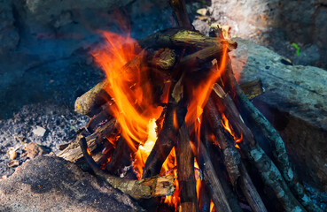 Burning wood in a campfire