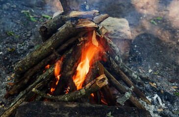 Burning wood in a campfire