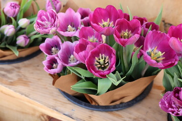 pink tulips