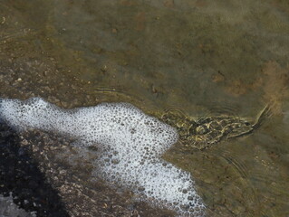 Foaming water near the stone river bank