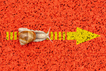 A snail crawling along a yellow arrow sign