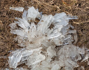 Ice close-up on dry grass in spring