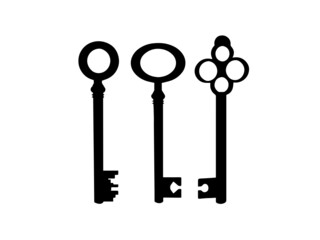 Black key vector image.Key icon vector image.Key line icon vector image. icon vector i