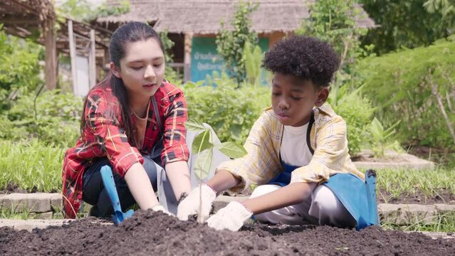 Children group girl and boy of diverse learning environment for plants vegetable at garden farm, Cute child learn gardening, Ecology, organic food, agriculture school learning