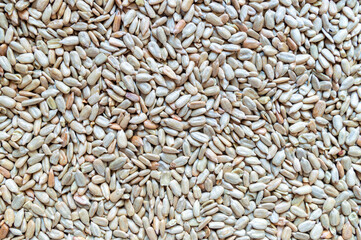 texture of peeled sunflower seeds