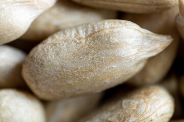 macroshot of peeled sunflower seeds.
