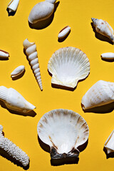 Vertical image of sea shells on a yellow background. Flat lay.
