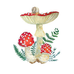 Watercolor mushrooms, leaves, snail on white background. Botanical illustration for postcards, posters, textile design.