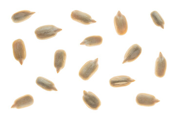 peeled sunflower seeds isolated on a white background