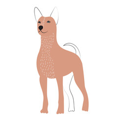 doodle dog, cartoon cute dog, isolated, isolated, vector