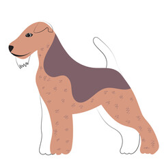 doodle dog, cartoon cute dog, isolated, isolated