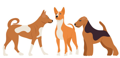 dogs flat design, isolated, vector