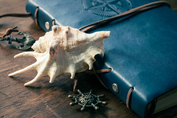 summer image, shell, spider conch, 夏のイメージ 貝殻 クモガイ