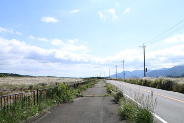 どこまでも続く田舎の道カントリーロード