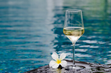 A glass of white wine with frangipani flower on swimming pool background. Holiday and summer drink concept.