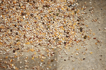 Mixed seeds food for bird texture background