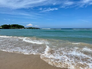 beach with trees and sea