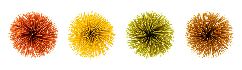 Obraz premium set of different tastes spaghetti top view isolated on white. concept. pompon