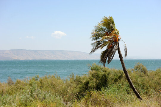 Sea of Galilee (Kinneret), the largest freshwater lake in Israel