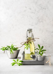 Delicious healthy refreshing beverage, sweet woodruff syrup or cordial in a glass bottle on a tray with fresh leaves and blossom. Homemade food concept. Copy space.