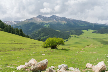 Typical view of kyrgyzstan country side