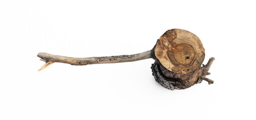 twigs on log isolated on white background