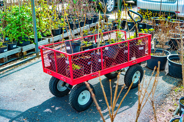 Fototapeta na wymiar Raspberry seedlings in a garden cart in a farm shop. Selective focus. Sale of garden equipment, seedlings, greenery, trees, shrubs in pots. Garden season.