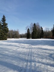 Fototapeta na wymiar Spring in Pavlovsky Park white snow and cold trees